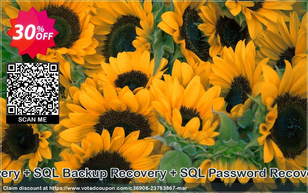 SysTools SQL Recovery + SQL Backup Recovery + SQL Password Recovery + SQL Decryptor Coupon Code Apr 2024, 30% OFF - VotedCoupon