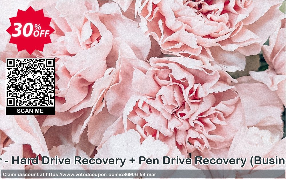 Bundle Offer - Hard Drive Recovery + Pen Drive Recovery, Business Plan  Coupon, discount SysTools coupon 36906. Promotion: 