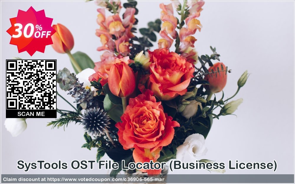 SysTools OST File Locator, Business Plan  Coupon, discount SysTools coupon 36906. Promotion: 