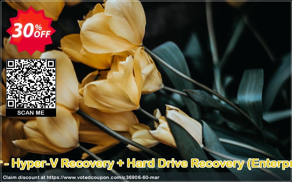 Bundle Offer - Hyper-V Recovery + Hard Drive Recovery, Enterprise Plan  Coupon Code Jun 2024, 30% OFF - VotedCoupon