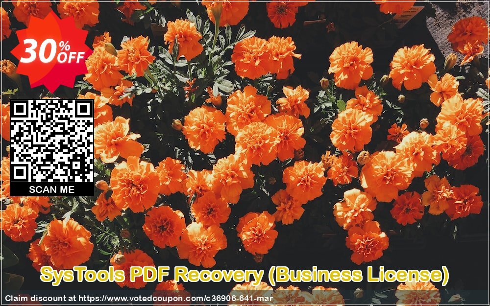 SysTools PDF Recovery, Business Plan  Coupon Code May 2024, 30% OFF - VotedCoupon