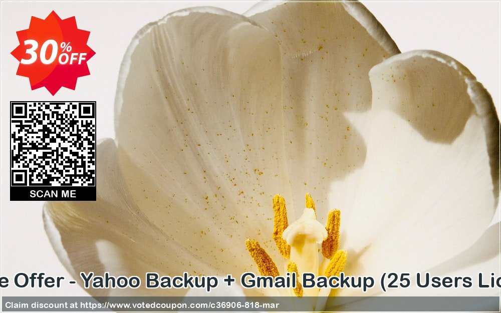 Bundle Offer - Yahoo Backup + Gmail Backup, 25 Users Plan  Coupon Code Apr 2024, 30% OFF - VotedCoupon