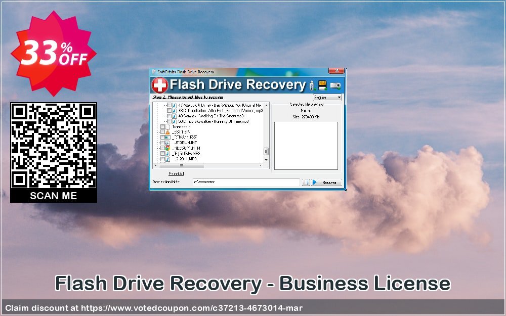 Flash Drive Recovery - Business Plan Coupon Code Apr 2024, 33% OFF - VotedCoupon