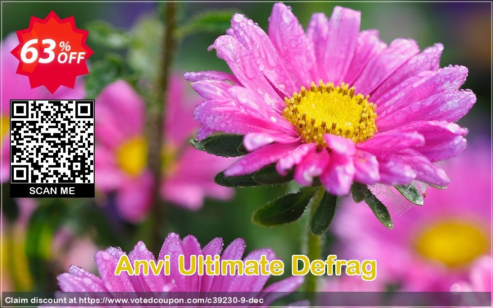 Anvi Ultimate Defrag Coupon, discount bitsdujour-every-day. Promotion: 
