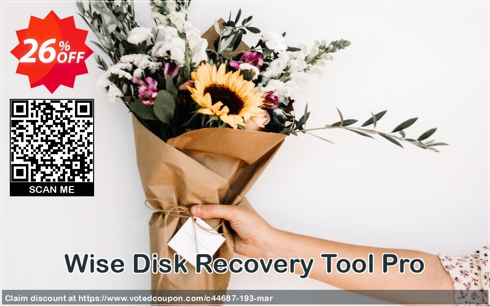 Wise Disk Recovery Tool Pro Coupon Code Apr 2024, 26% OFF - VotedCoupon