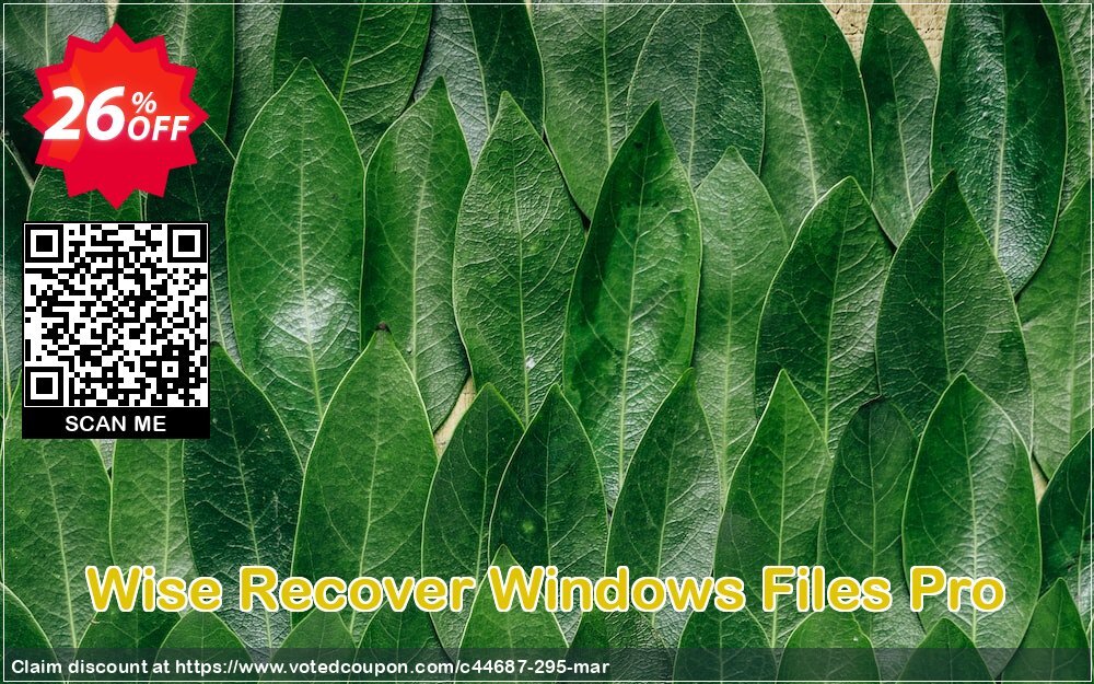 Wise Recover WINDOWS Files Pro Coupon Code Apr 2024, 26% OFF - VotedCoupon