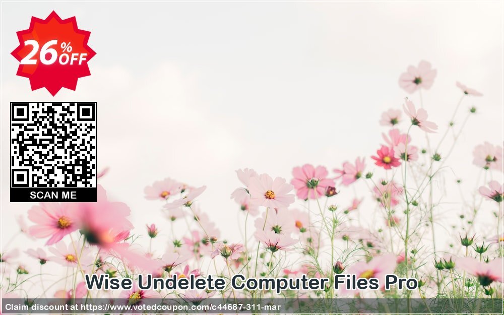 Wise Undelete Computer Files Pro Coupon Code Apr 2024, 26% OFF - VotedCoupon