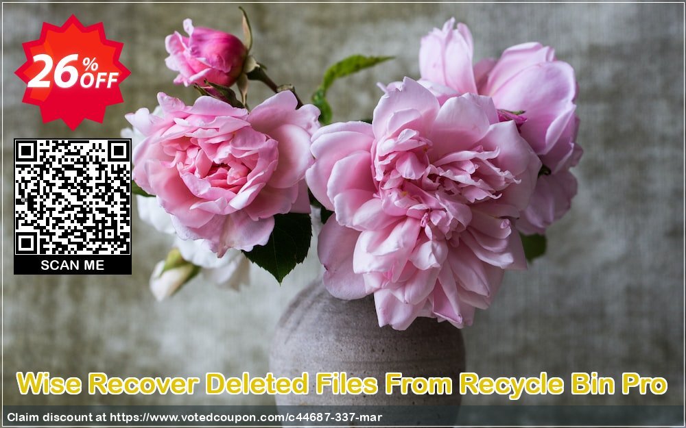 Wise Recover Deleted Files From Recycle Bin Pro Coupon, discount Lionsea Software coupon archive (44687). Promotion: Lionsea Software coupon discount codes archive (44687)