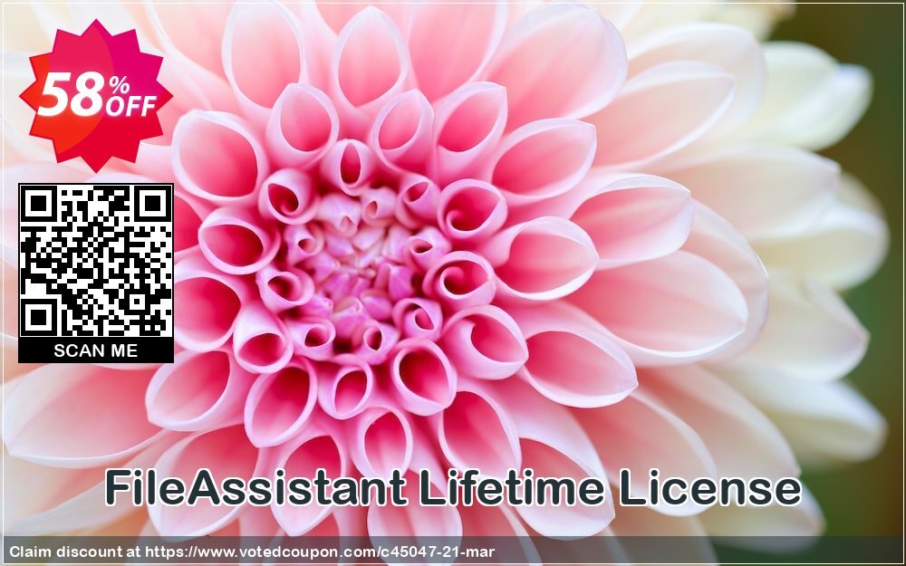 FileAssistant Lifetime Plan Coupon Code Apr 2024, 58% OFF - VotedCoupon