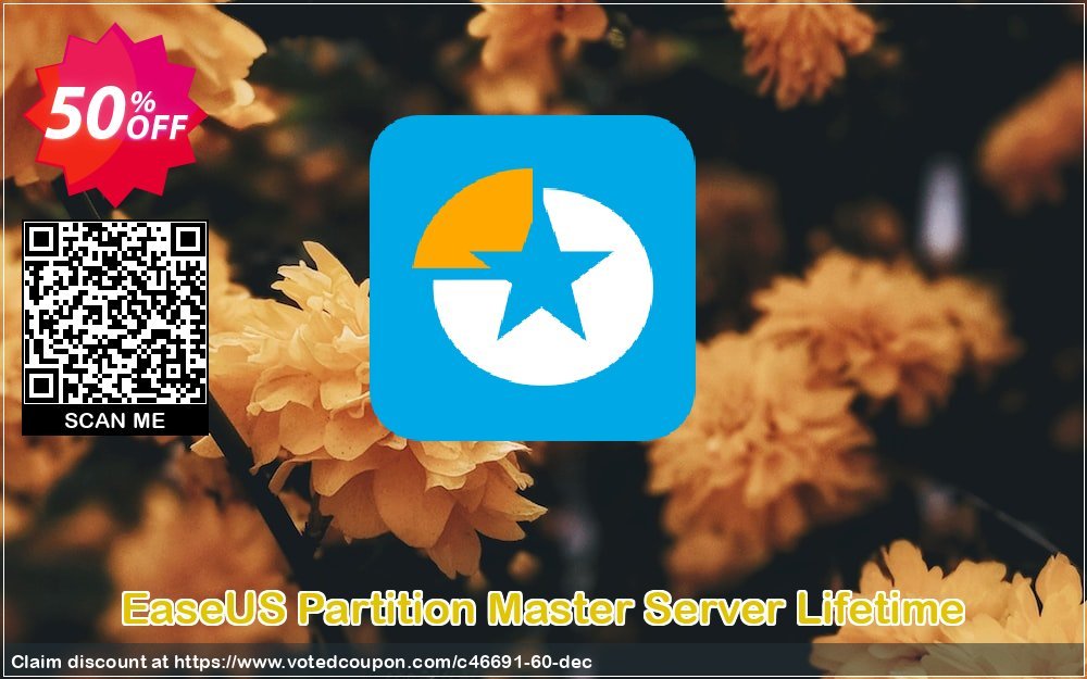 EaseUS Partition Master Server Lifetime voted-on promotion codes