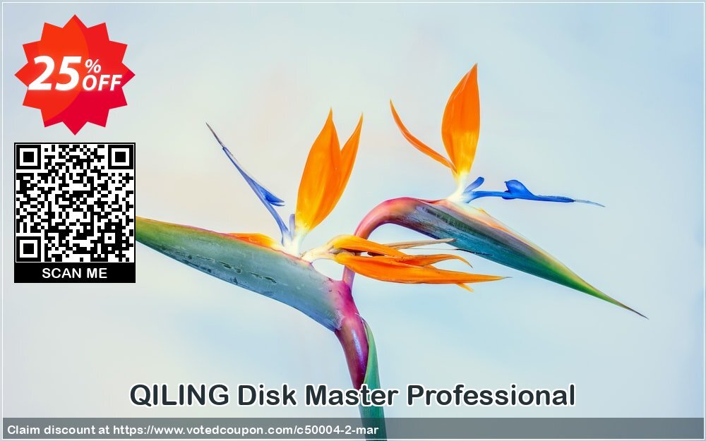 QILING Disk Master Professional Coupon, discount TZ Computers1. Promotion: