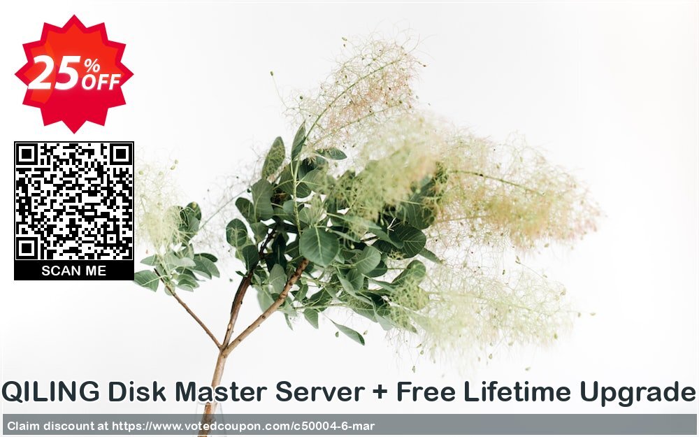 QILING Disk Master Server + Free Lifetime Upgrade Coupon Code May 2024, 25% OFF - VotedCoupon