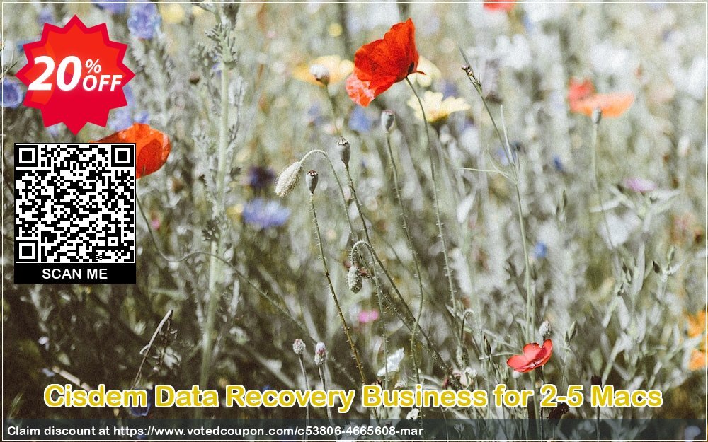 Cisdem Data Recovery Business for 2-5 MACs Coupon Code May 2024, 20% OFF - VotedCoupon