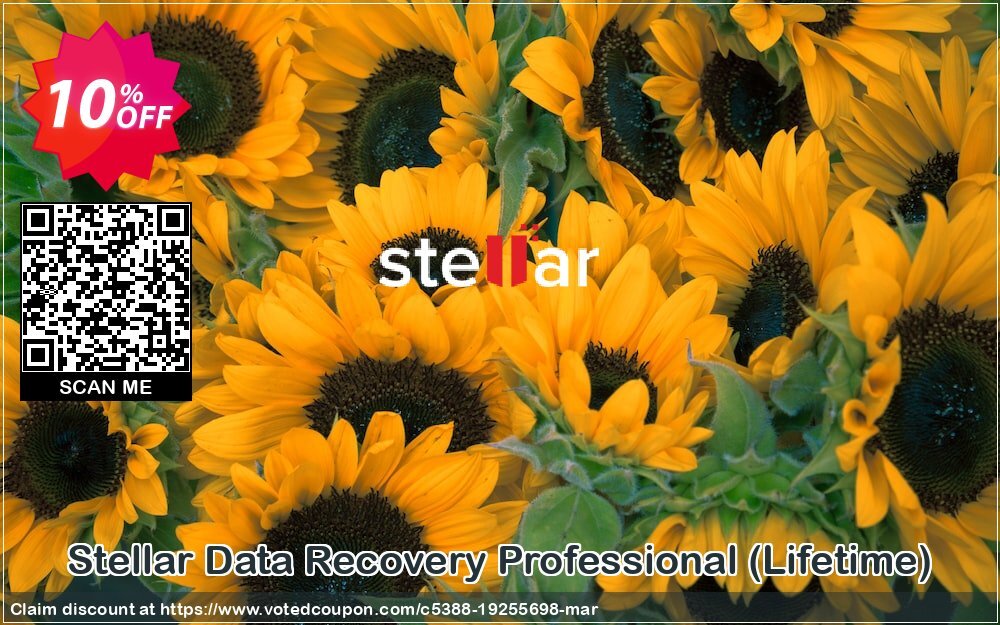 Stellar Data Recovery Professional, Lifetime  Coupon Code Apr 2024, 10% OFF - VotedCoupon