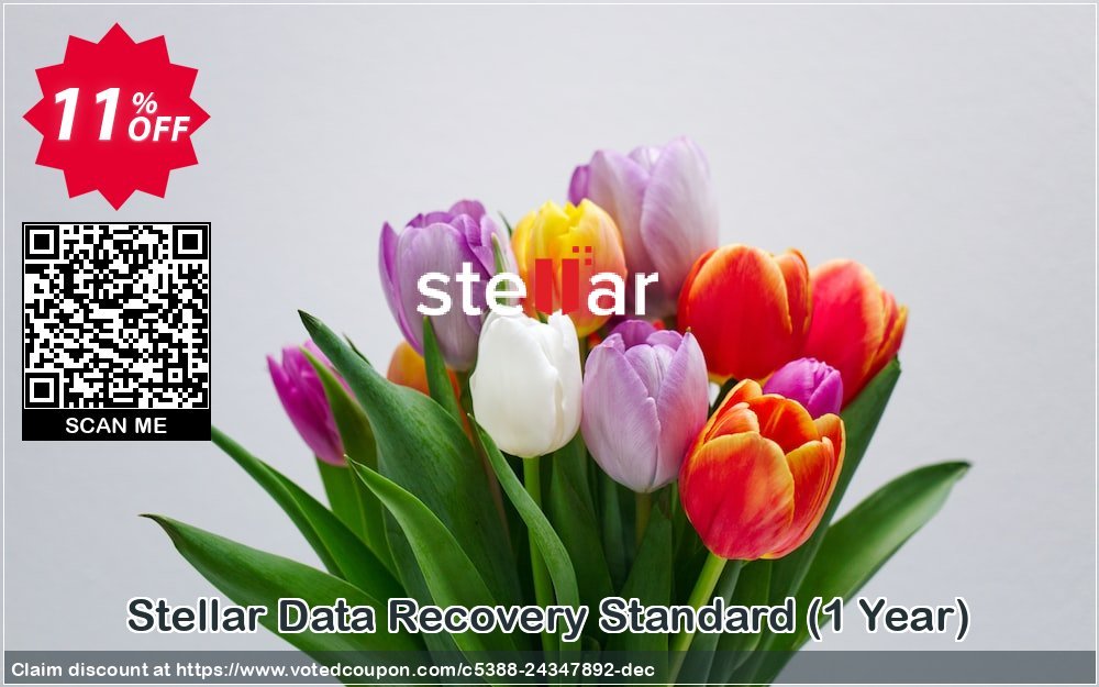 Stellar Data Recovery Standard, Yearly  Coupon Code Mar 2024, 11% OFF - VotedCoupon