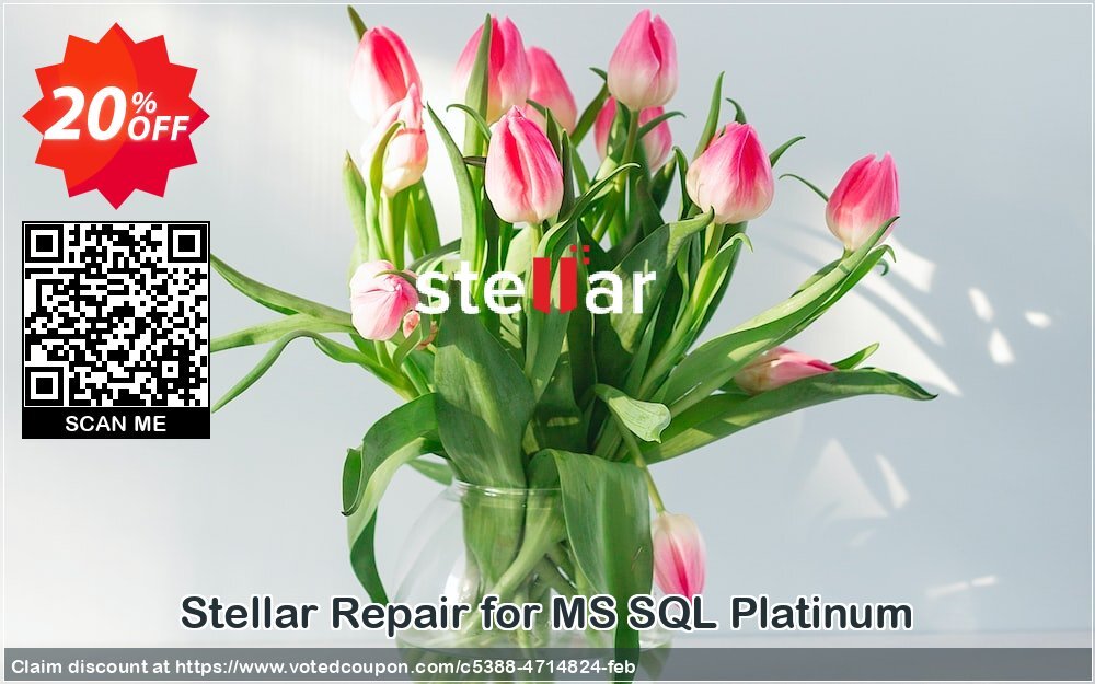 Stellar Repair for MS SQL Platinum Coupon Code Mar 2024, 20% OFF - VotedCoupon