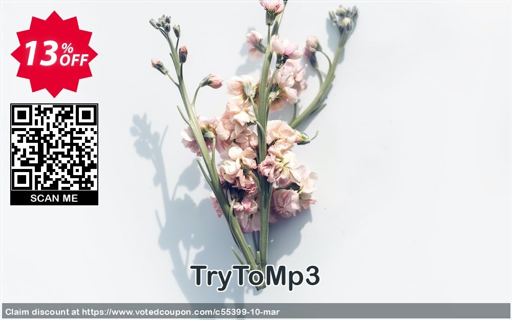 TryToMp3 Coupon, discount PromotionCode_TryToMP3. Promotion: Official discount from RomanySoft