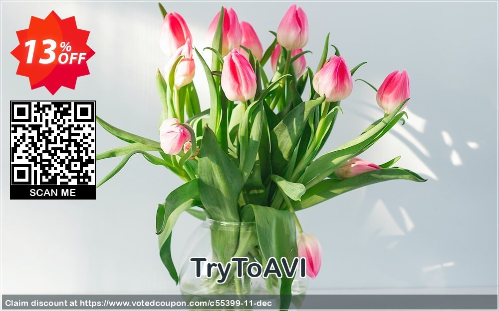 TryToAVI Coupon, discount Romany software coupon(55399). Promotion: Official discount from RomanySoft