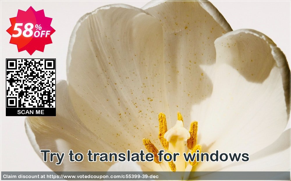 Try to translate for WINDOWS Coupon, discount coupon_TryToTranslate_100K. Promotion: Official discount from RomanySoft