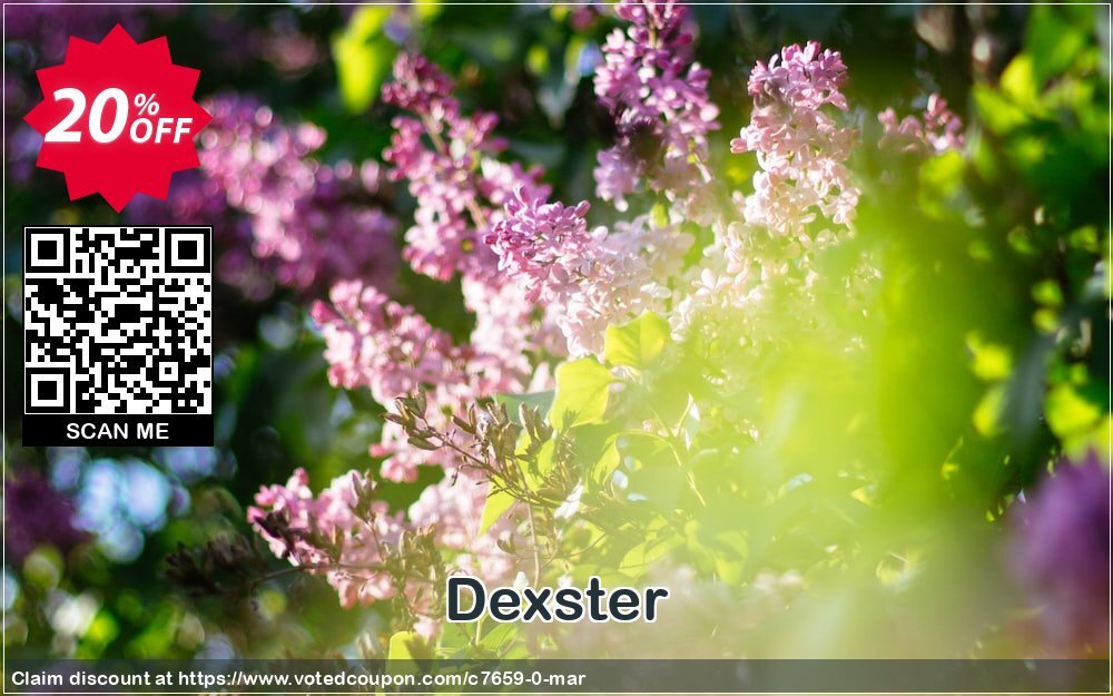 Dexster Coupon Code May 2024, 20% OFF - VotedCoupon