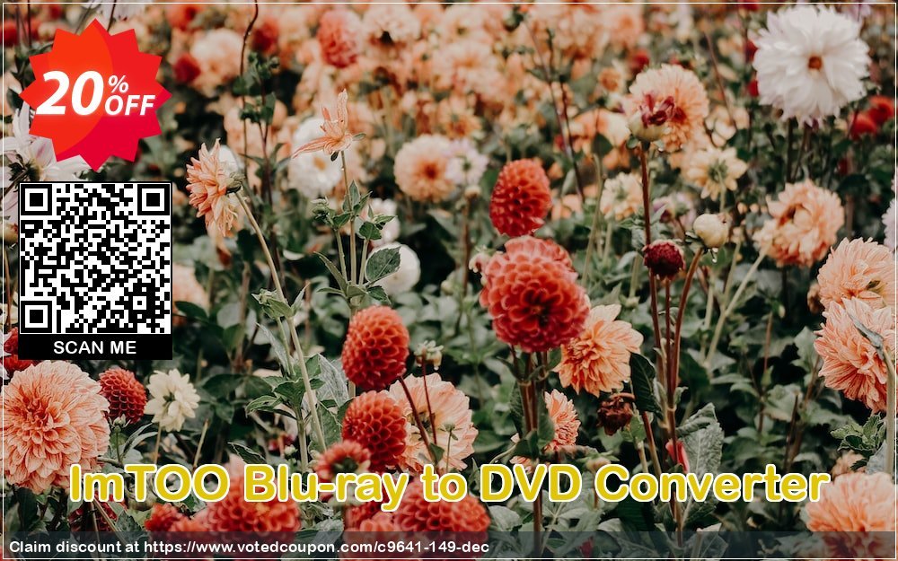 ImTOO Blu-ray to DVD Converter Coupon, discount ImTOO coupon discount (9641). Promotion: ImTOO promo code