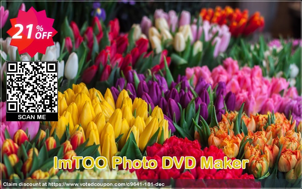 ImTOO Photo DVD Maker Coupon Code Apr 2024, 21% OFF - VotedCoupon