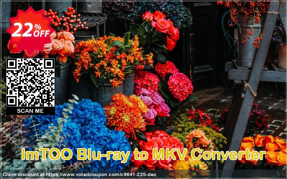 ImTOO Blu-ray to MKV Converter Coupon, discount ImTOO coupon discount (9641). Promotion: ImTOO promo code