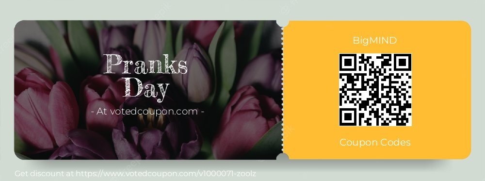 BigMIND Coupon discount, offer to 2025 Pranks Day